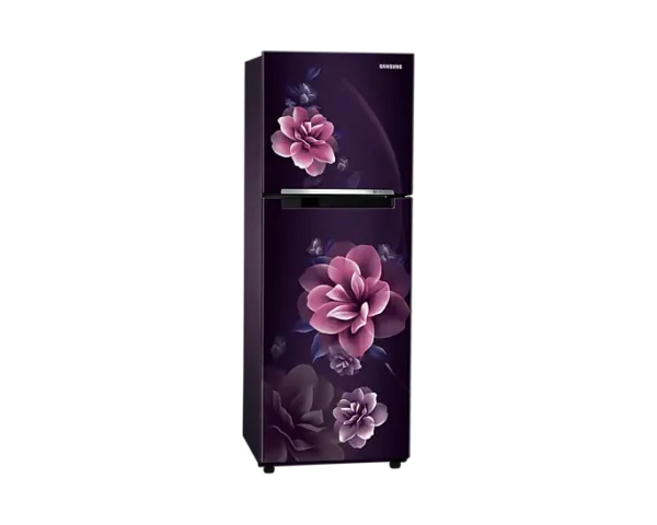 236L Digital Inverter Technology Double Door Refrigerator RT28C3022CR